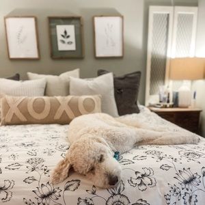 King Duvet Cover with Two Pillow Shams | Gray, Black and White | EUC | $22